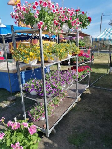 Kukkia myynnissä markkinoilla